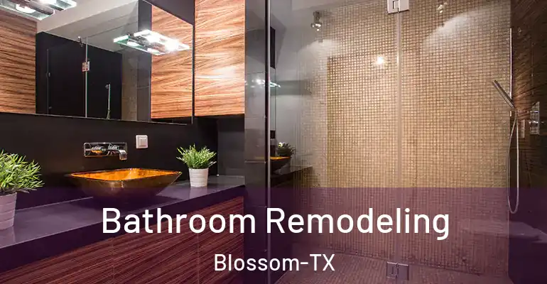 inner Bathroom imggen Bathroom Remodeling Blossom-TX