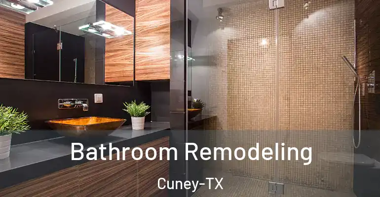 inner Bathroom imggen Bathroom Remodeling Cuney-TX