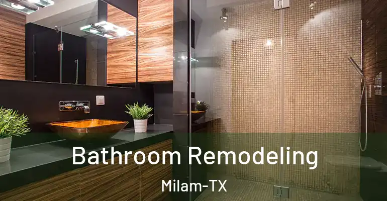 inner Bathroom imggen Bathroom Remodeling Milam-TX