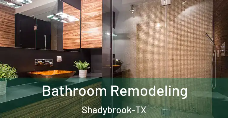 inner Bathroom imggen Bathroom Remodeling Shadybrook-TX