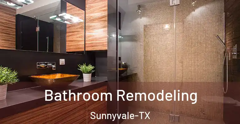inner Bathroom imggen Bathroom Remodeling Sunnyvale-TX