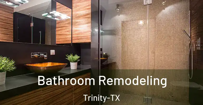 inner Bathroom imggen Bathroom Remodeling Trinity-TX