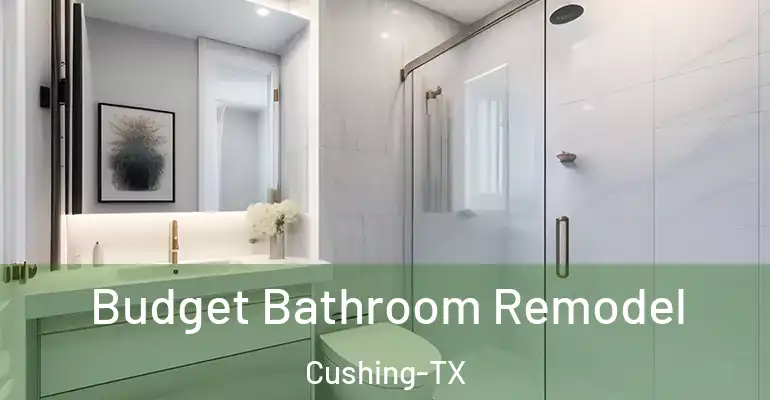 inner Bathroom imggen Budget Bathroom Remodel Cushing-TX