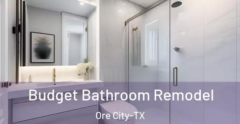 inner Bathroom imggen Budget Bathroom Remodel Ore City-TX