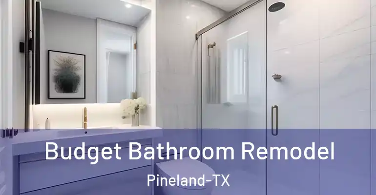 inner Bathroom imggen Budget Bathroom Remodel Pineland-TX