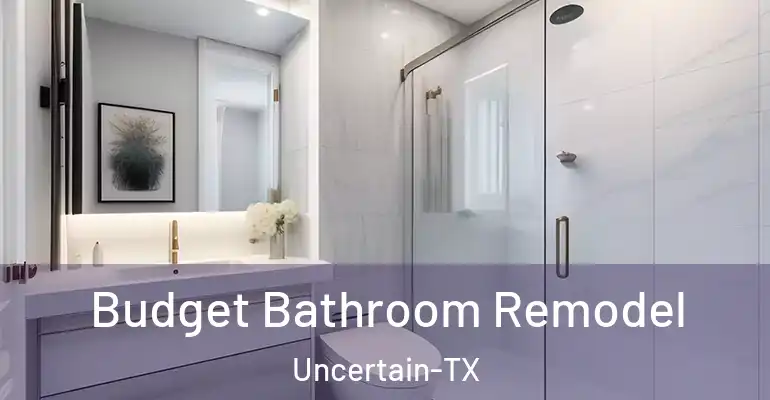 inner Bathroom imggen Budget Bathroom Remodel Uncertain-TX