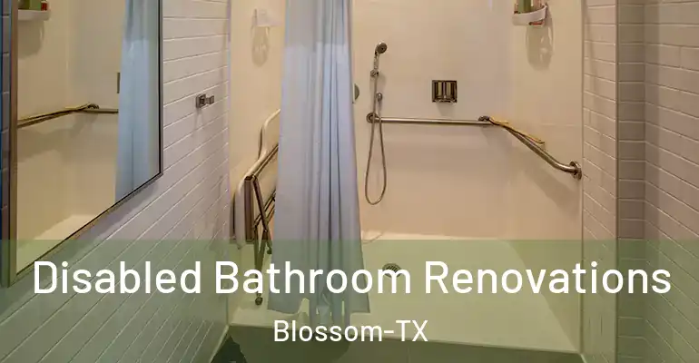 inner Bathroom imggen Disabled Bathroom Renovations Blossom-TX