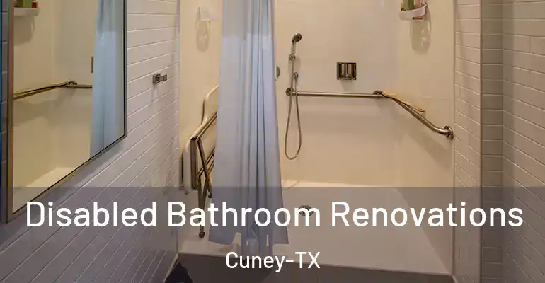 inner Bathroom imggen Disabled Bathroom Renovations Cuney-TX
