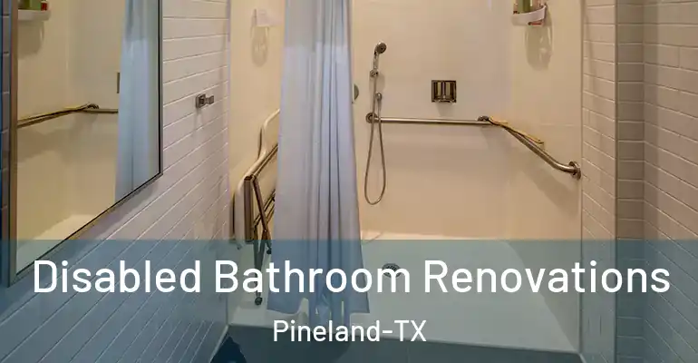 inner Bathroom imggen Disabled Bathroom Renovations Pineland-TX