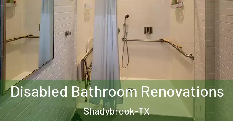 inner Bathroom imggen Disabled Bathroom Renovations Shadybrook-TX