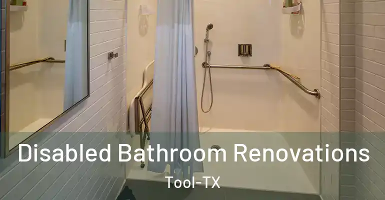 inner Bathroom imggen Disabled Bathroom Renovations Tool-TX