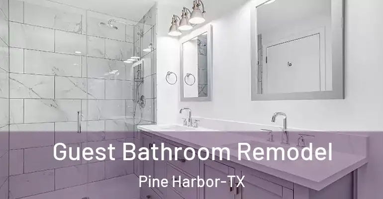 inner Bathroom imggen Guest Bathroom Remodel Pine Harbor-TX