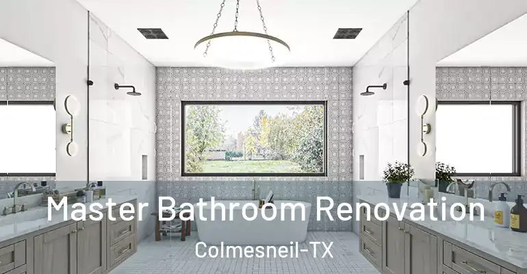 inner Bathroom imggen Master Bathroom Renovation Colmesneil-TX