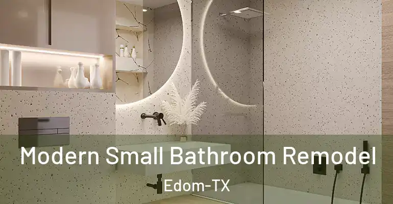 inner Bathroom imggen Modern Small Bathroom Remodel Edom-TX