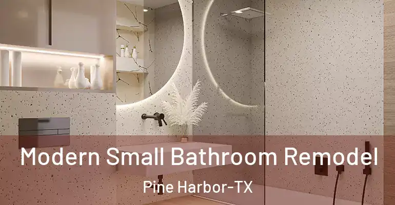 inner Bathroom imggen Modern Small Bathroom Remodel Pine Harbor-TX