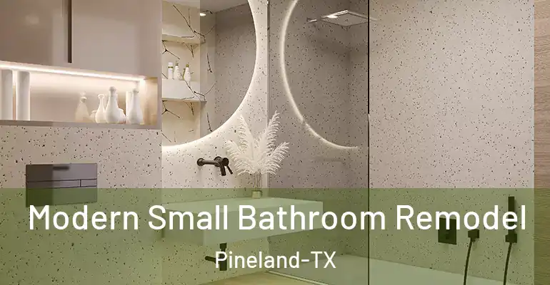 inner Bathroom imggen Modern Small Bathroom Remodel Pineland-TX