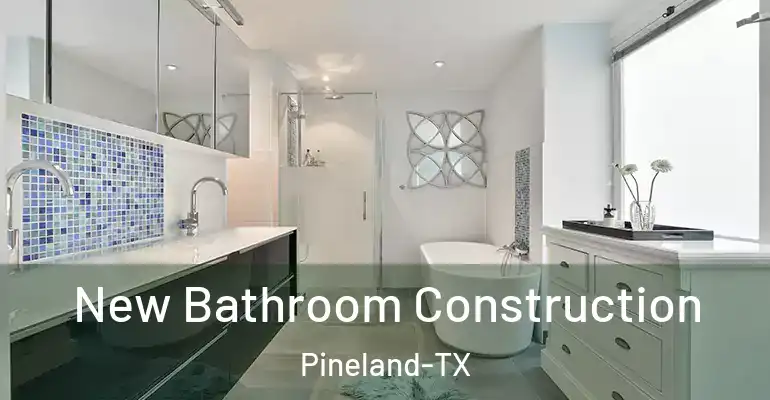 inner Bathroom imggen New Bathroom Construction Pineland-TX
