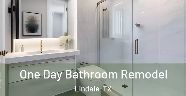 inner Bathroom imggen One Day Bathroom Remodel Lindale-TX