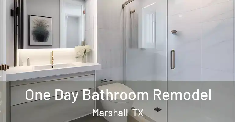 inner Bathroom imggen One Day Bathroom Remodel Marshall-TX