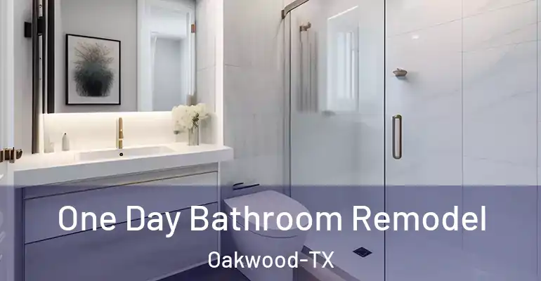 inner Bathroom imggen One Day Bathroom Remodel Oakwood-TX