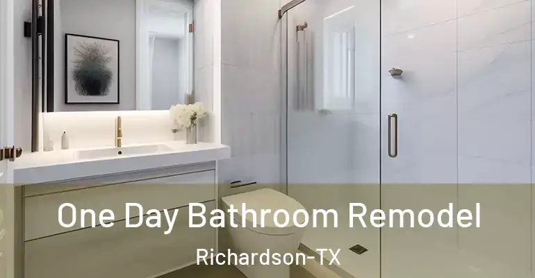 inner Bathroom imggen One Day Bathroom Remodel Richardson-TX