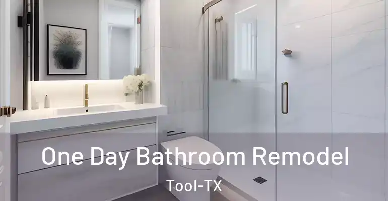 inner Bathroom imggen One Day Bathroom Remodel Tool-TX