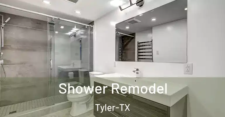 inner Bathroom imggen Shower Remodel Tyler-TX