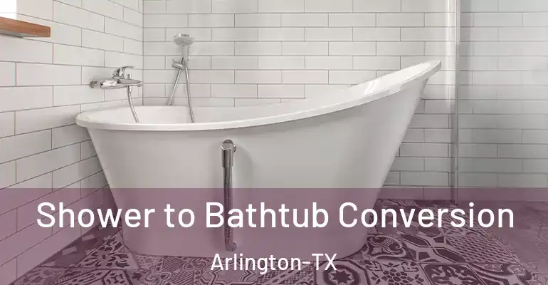 inner Bathroom imggen Shower to Bathtub Conversion Arlington-TX