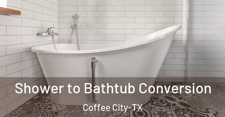 inner Bathroom imggen Shower to Bathtub Conversion Coffee City-TX