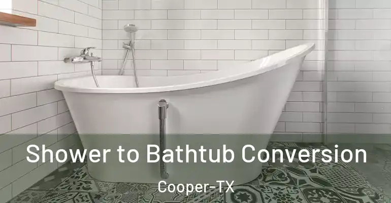 inner Bathroom imggen Shower to Bathtub Conversion Cooper-TX