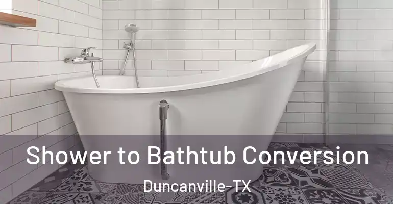 inner Bathroom imggen Shower to Bathtub Conversion Duncanville-TX