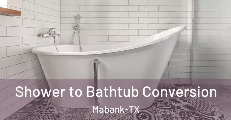 inner Bathroom imggen Shower to Bathtub Conversion Mabank-TX