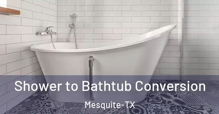 inner Bathroom imggen Shower to Bathtub Conversion Mesquite-TX