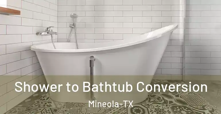 inner Bathroom imggen Shower to Bathtub Conversion Mineola-TX