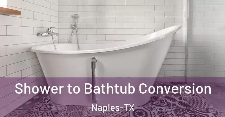 inner Bathroom imggen Shower to Bathtub Conversion Naples-TX
