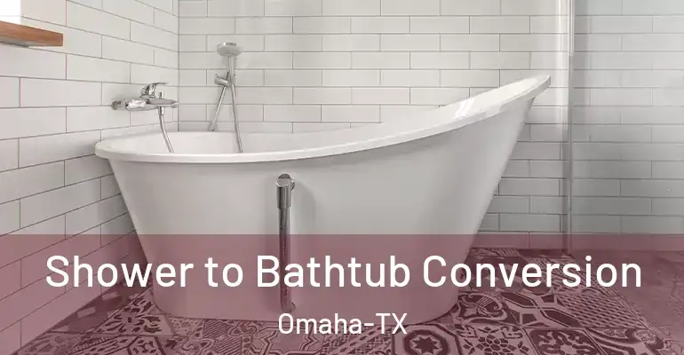inner Bathroom imggen Shower to Bathtub Conversion Omaha-TX