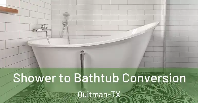 inner Bathroom imggen Shower to Bathtub Conversion Quitman-TX