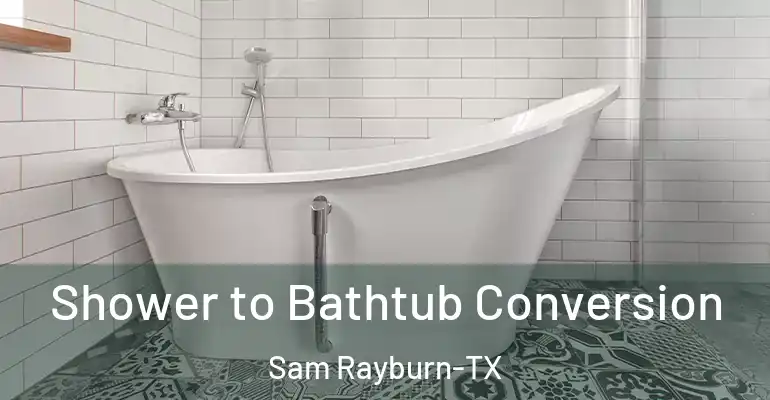 inner Bathroom imggen Shower to Bathtub Conversion Sam Rayburn-TX