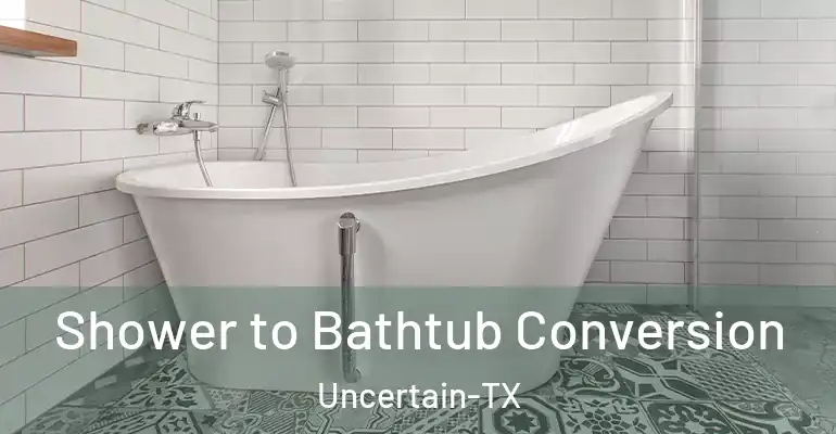 inner Bathroom imggen Shower to Bathtub Conversion Uncertain-TX