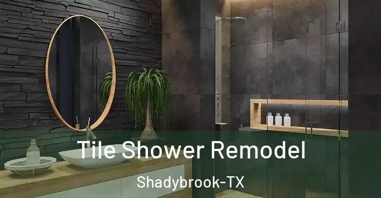 inner Bathroom imggen Tile Shower Remodel Shadybrook-TX