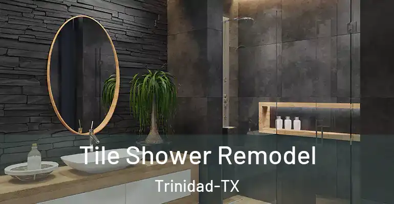 inner Bathroom imggen Tile Shower Remodel Trinidad-TX