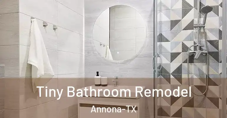 inner Bathroom imggen Tiny Bathroom Remodel Annona-TX