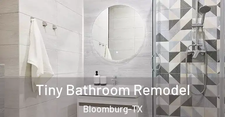 inner Bathroom imggen Tiny Bathroom Remodel Bloomburg-TX