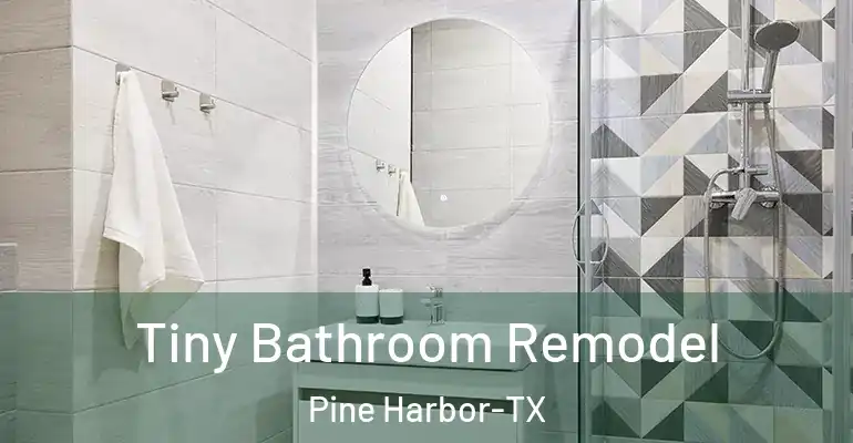 inner Bathroom imggen Tiny Bathroom Remodel Pine Harbor-TX