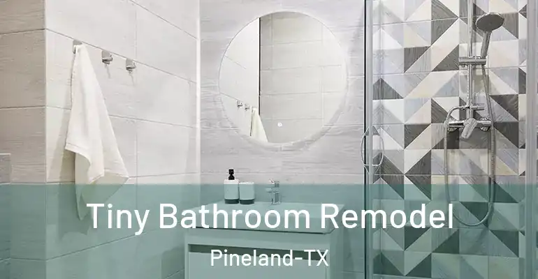 inner Bathroom imggen Tiny Bathroom Remodel Pineland-TX