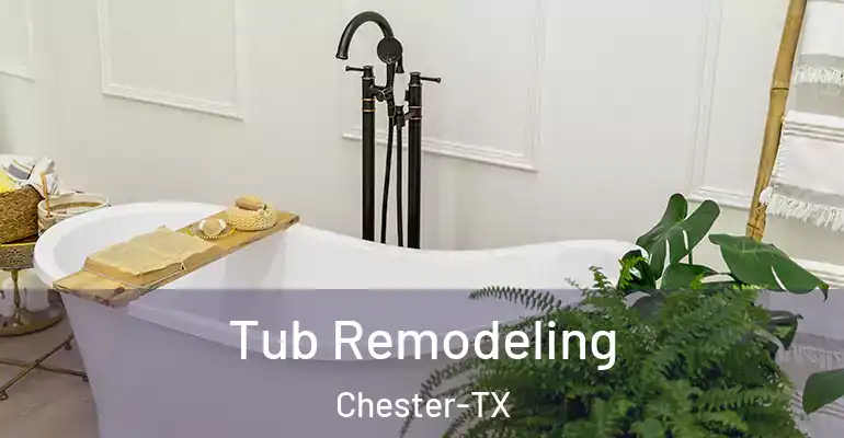 inner Bathroom imggen Tub Remodeling Chester-TX