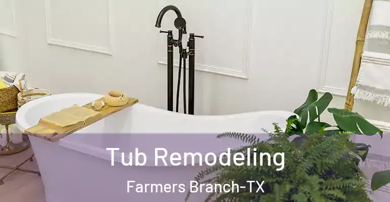 inner Bathroom imggen Tub Remodeling Farmers Branch-TX