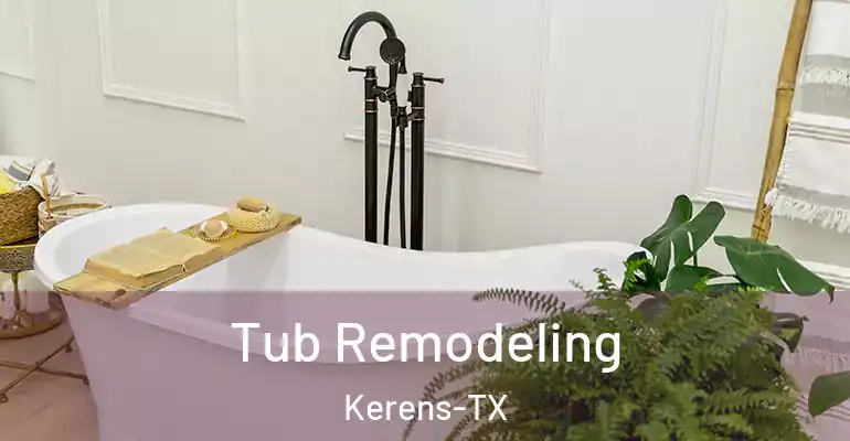 inner Bathroom imggen Tub Remodeling Kerens-TX