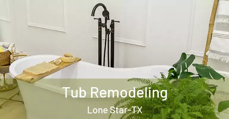 inner Bathroom imggen Tub Remodeling Lone Star-TX