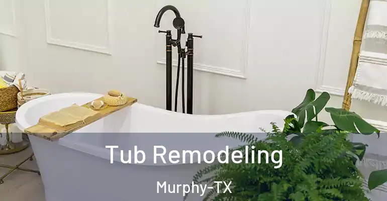inner Bathroom imggen Tub Remodeling Murphy-TX